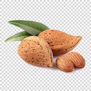 Almonds png