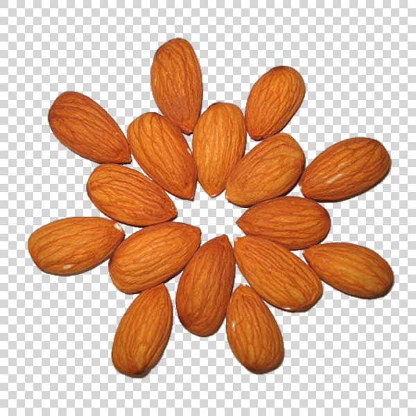 Almonds With Regular Arrangement PNG