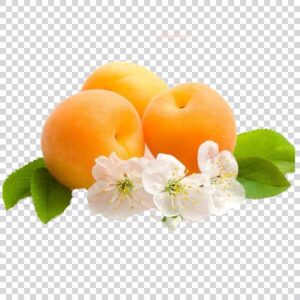 Apricots With Flowers And Leaves PNG