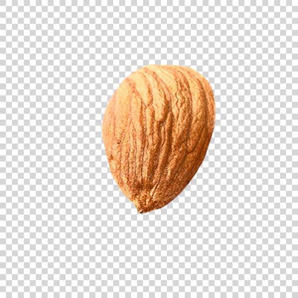 Big Almond png