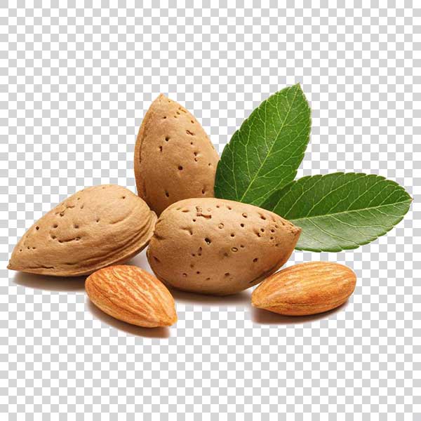 Almonds With Green Leaf png image