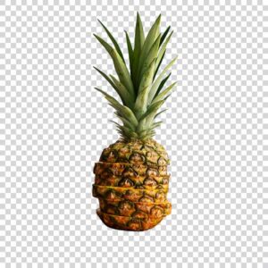 Big Sliced ​​Pineapple PNG