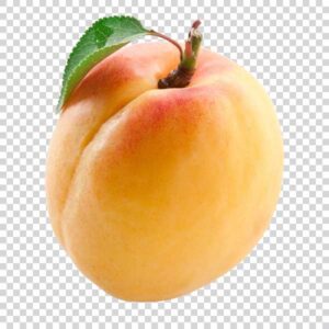 Big Tasty Apricot PNG