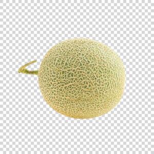 Close Up Of Big Cantaloupe PNG