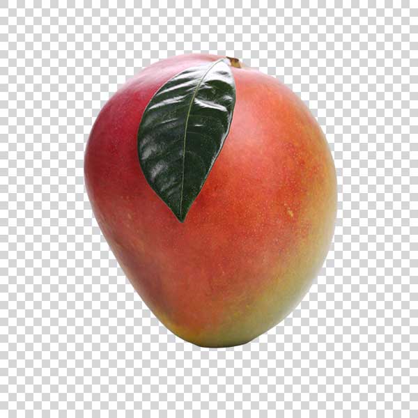 Close Up Of Big Mango PNG