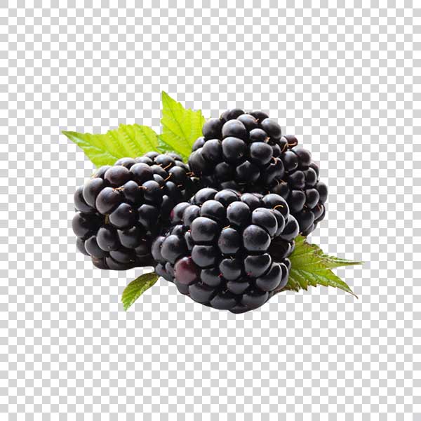 Close Up Of Fresh Blackberries PNG