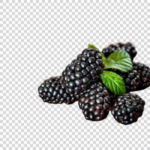 Close Up Of Ripe Blackberries PNG