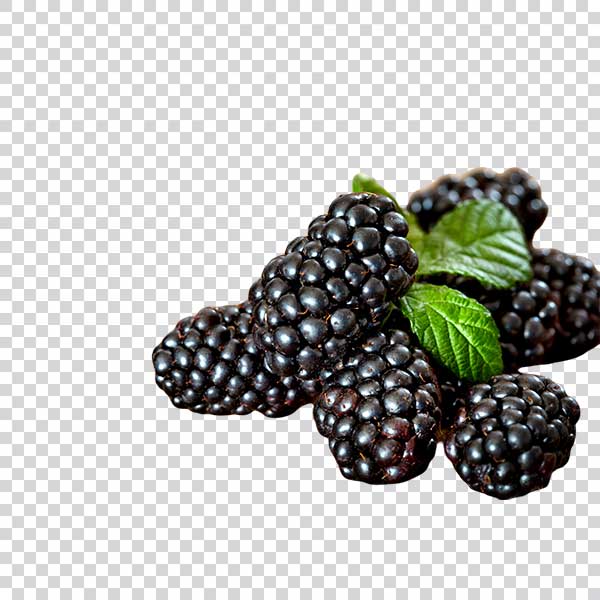 Close Up Of Ripe Blackberries PNG