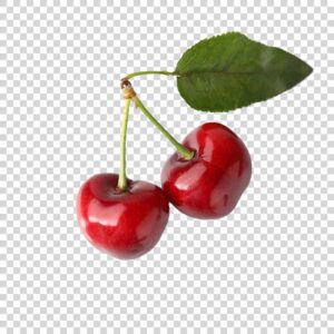 Delicious Cherry Bunch PNG