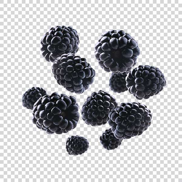 Delicious Fresh Blackberries PNG