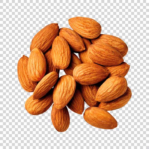 Fresh Almonds png