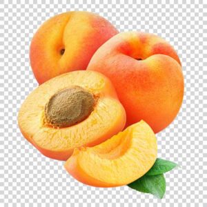 Fresh Tasty Apricots PNG