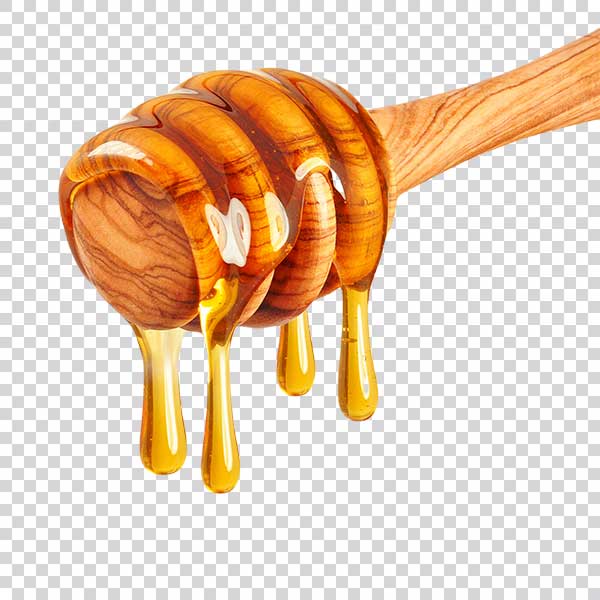 Honey Bees Honeycombs PNG