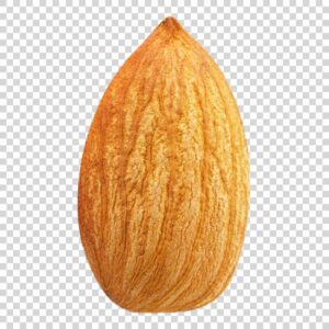 One Big Almond PNG