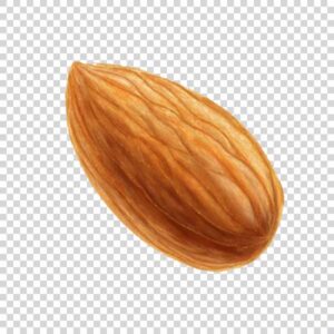 One Fresh Almond PNG