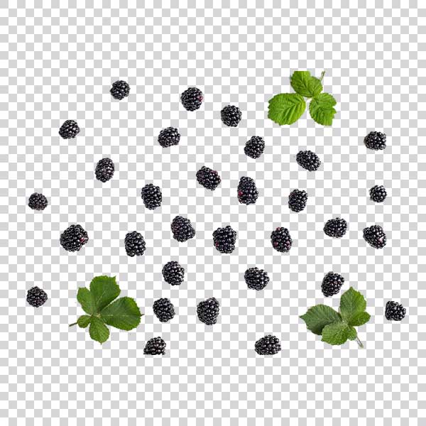 Photo Of Delicious Blackberries PNG