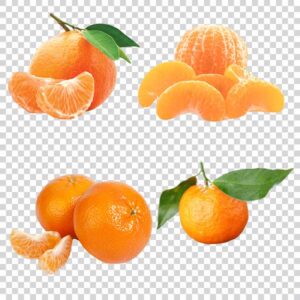 Tangerine category PNG