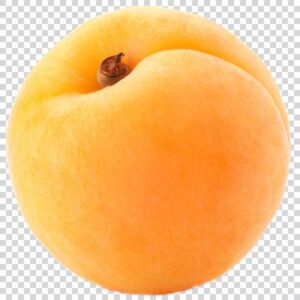 Tasty Apricot PNG