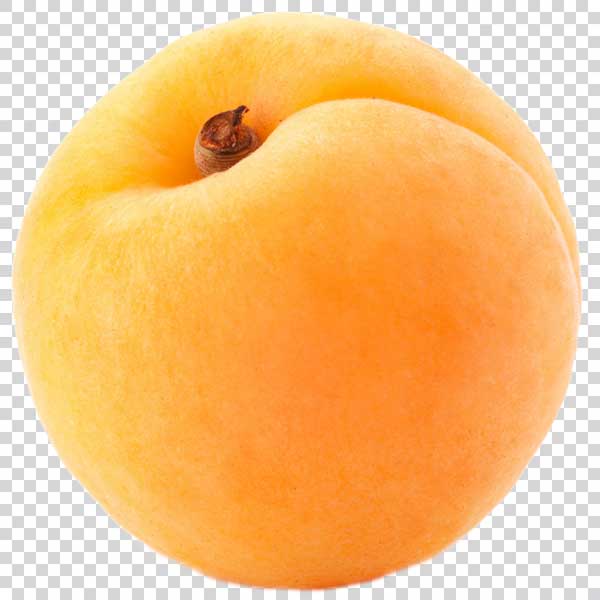 Tasty Apricot PNG