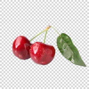 Tasty Cherry Bunch PNG