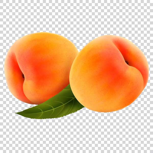 two-fresh-apricots-png