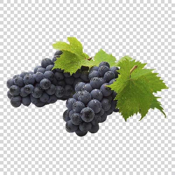 Appetizing Black Grapes With Leaves PNG