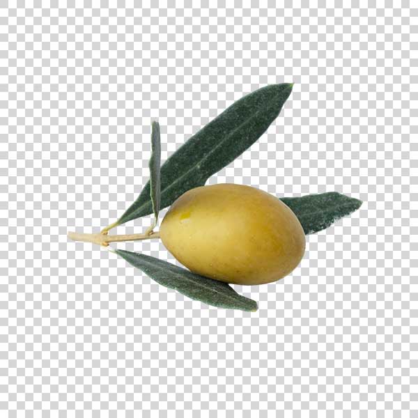 Big Green Olive With Leaves PNG