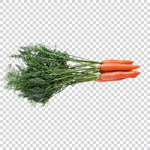 Delicious Carrots Raw PNG