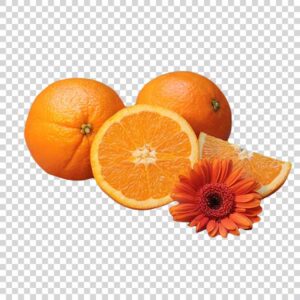 Delicious Oranges With Flower Close Up PNG