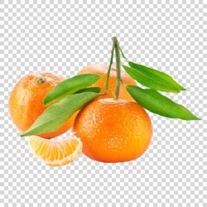 Delicious Oranges With Green Leaves PNG