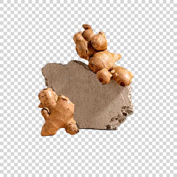 Gingers And Stone PNG