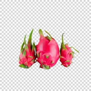 Natural Ripe Dragon Fruits PNG