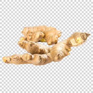 Organic Ginger Root PNG