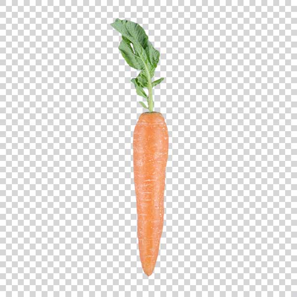 Ripe Organic Carrot PNG