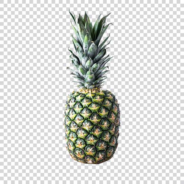 Single Big Fresh Pineapple PNG