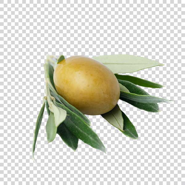 Tasty Green Olive With Leaves PNG