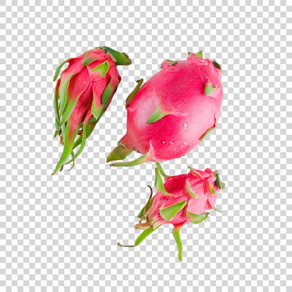 Three Dragon Fruits PNG