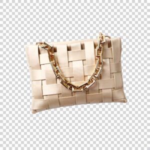 Antique Luxury Women Bag PNG