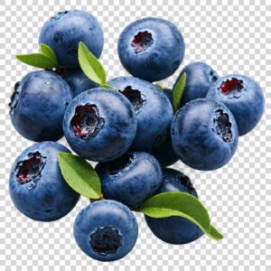 Appetizing Blueberry Fruits Transparent Background PNG