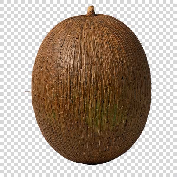 Big Coconut Transparent Background PNG