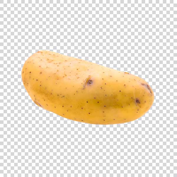 Close Up Of Big Fresh Potato PNG