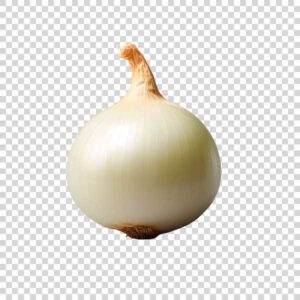 Close Up Of Ripe White Onion PNG