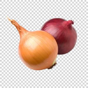 Close Up Of Two Fresh Onions PNG