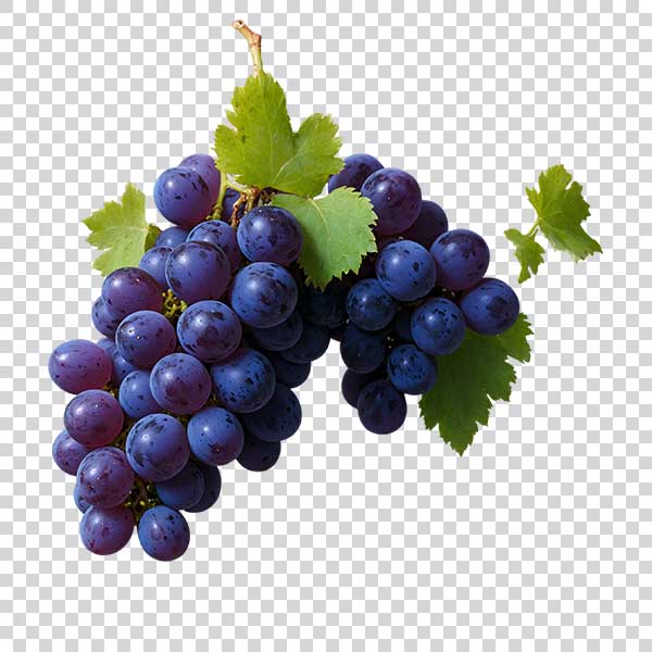 Delicious Black Grapes Transparent Background PNG