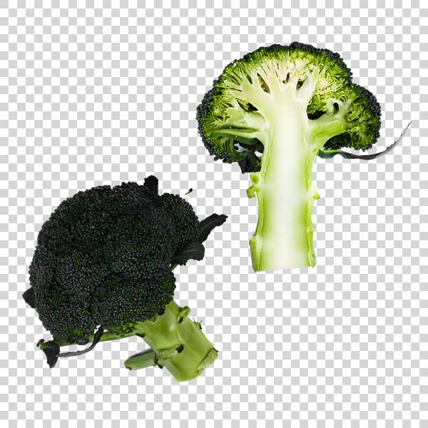 Delicious Green Broccoli PNG