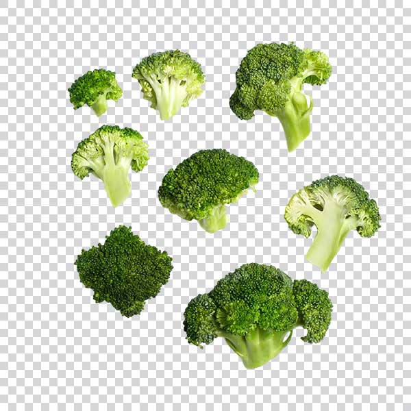 Fresh Broccoli Slices Vegetable PNG