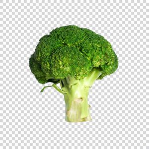 Fresh Broccoli Vegetable PNG