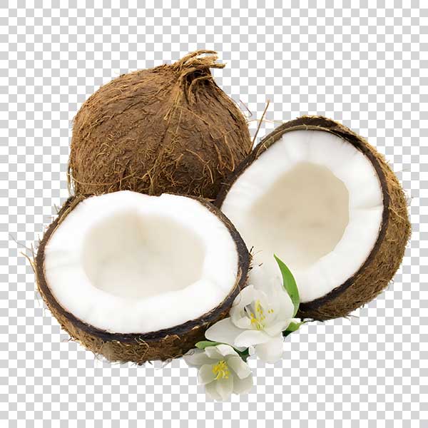 Fresh Coconut Slices With Flowers PNG