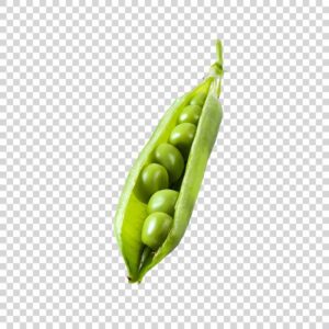 Fresh Green Pea Close Up PNG