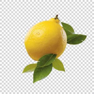 Fresh Lemon With Green Leaves Close Up PNG